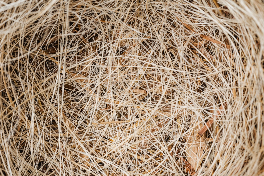 Fibra de sisal