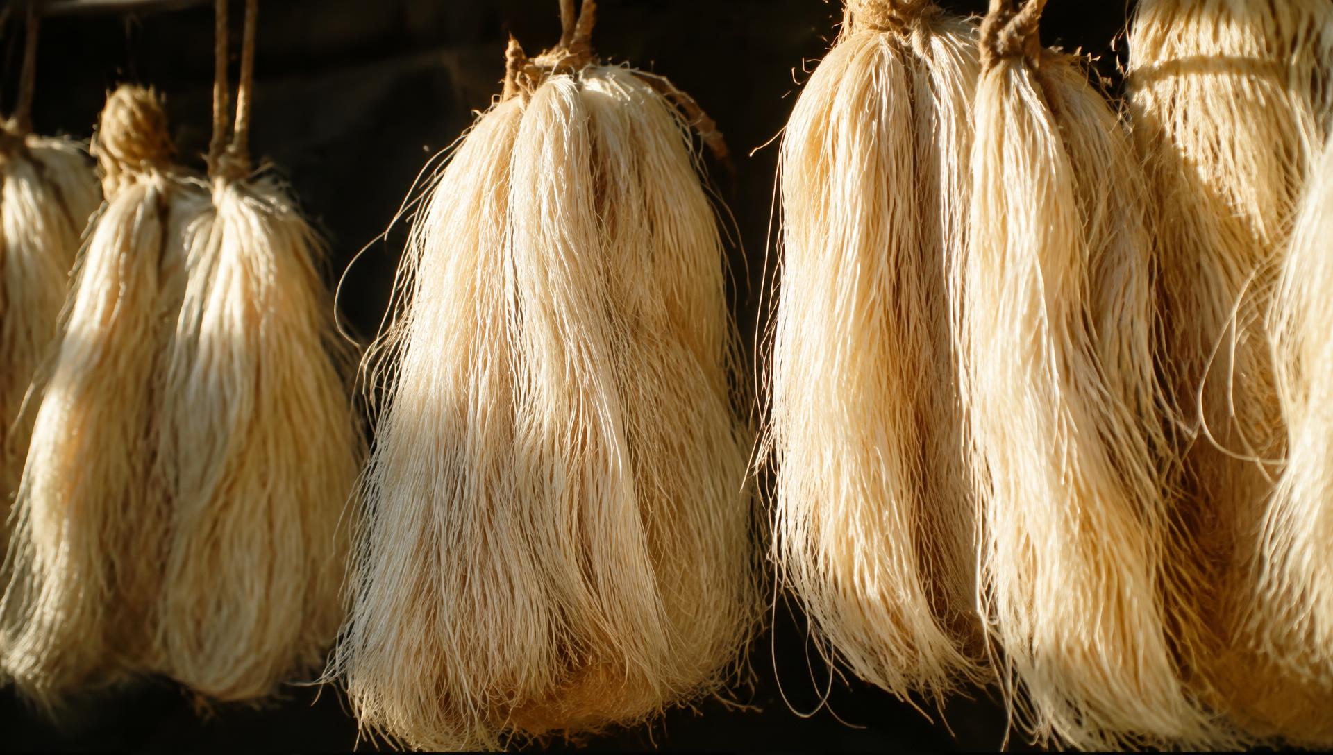 Sisal